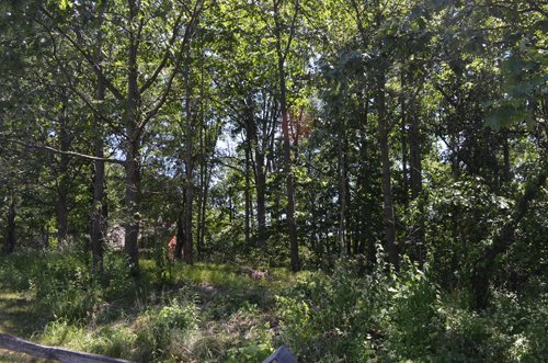 Property photo 59 - 21 Acre Modern Country Estate